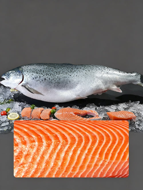 Fresh Salmon Sashimi